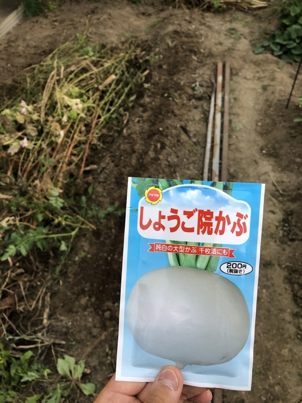 f:id:tosei0128:20191006111008j:plain:w600