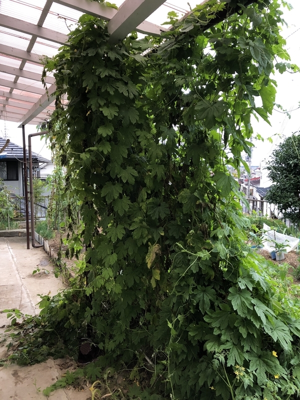 f:id:tosei0128:20191006111048j:plain:w600