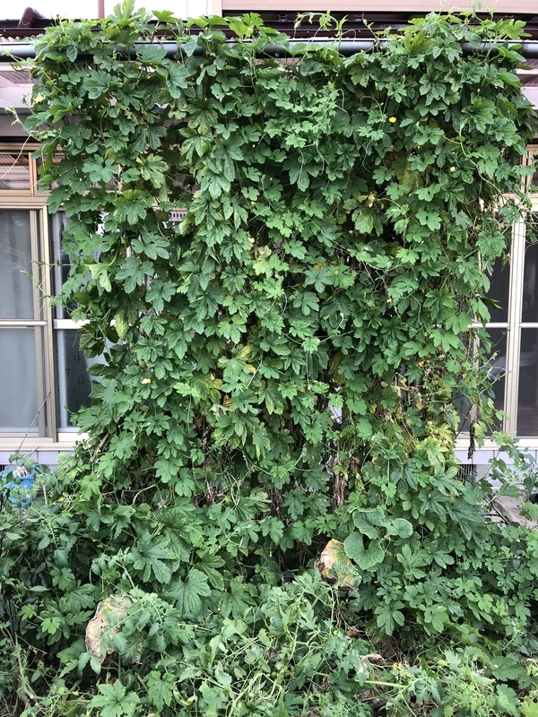 f:id:tosei0128:20191022103305j:plain:w600
