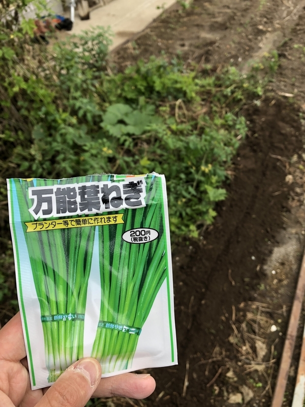 f:id:tosei0128:20200121193303j:plain:w300
