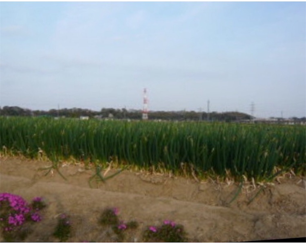 f:id:toshi-kuma25317:20170114183617j:image