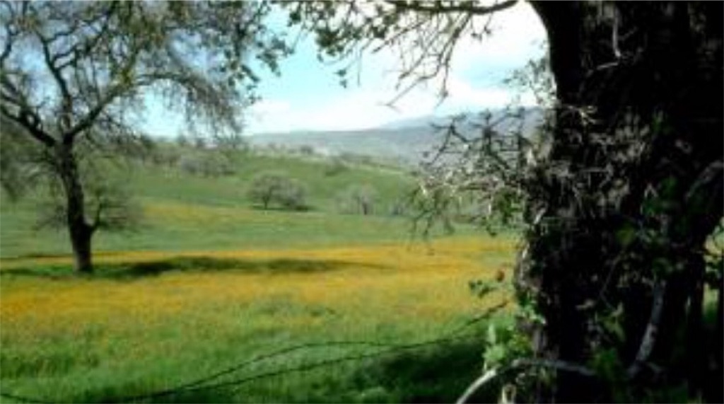 f:id:toshi-kuma25317:20170114183819j:image