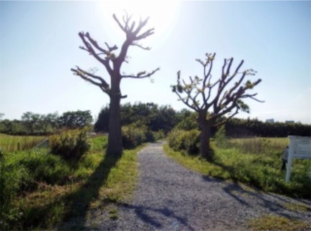 f:id:toshi-kuma25317:20170114183907j:image