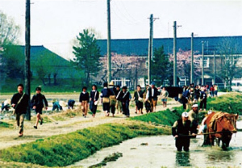 f:id:toshi-kuma25317:20170121114245j:image