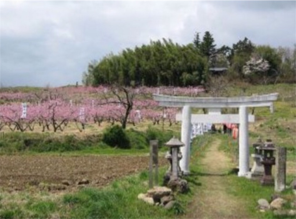 f:id:toshi-kuma25317:20180903214321j:image