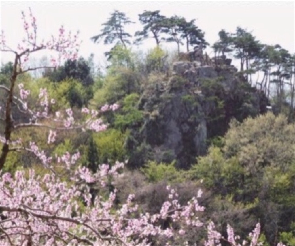 f:id:toshi-kuma25317:20180903214347j:image