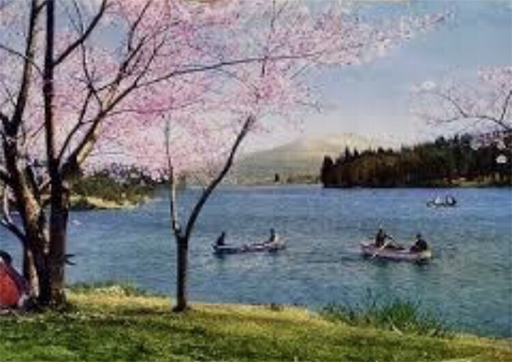 f:id:toshi-kuma25317:20180903214357j:image