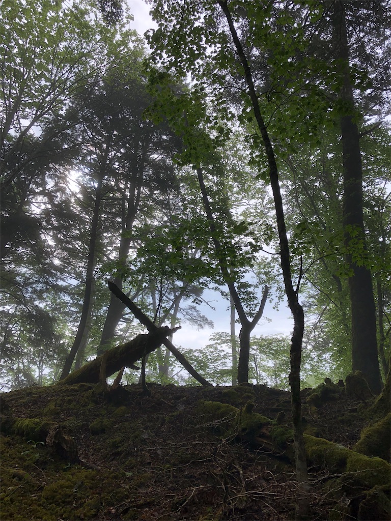 f:id:toshi-kuma25317:20190630112551j:image f:id:toshi-kuma25317:20190630112551j:image