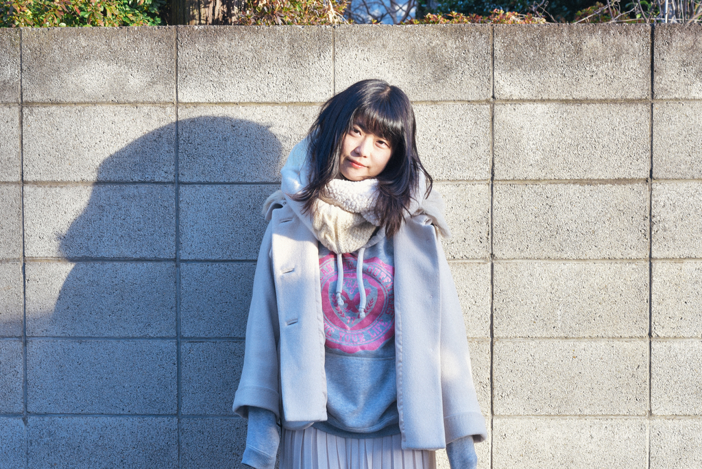 f:id:toshi0690:20190101221050j:plain