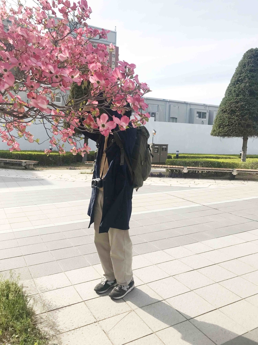 f:id:toshi0690:20190504161234j:plain