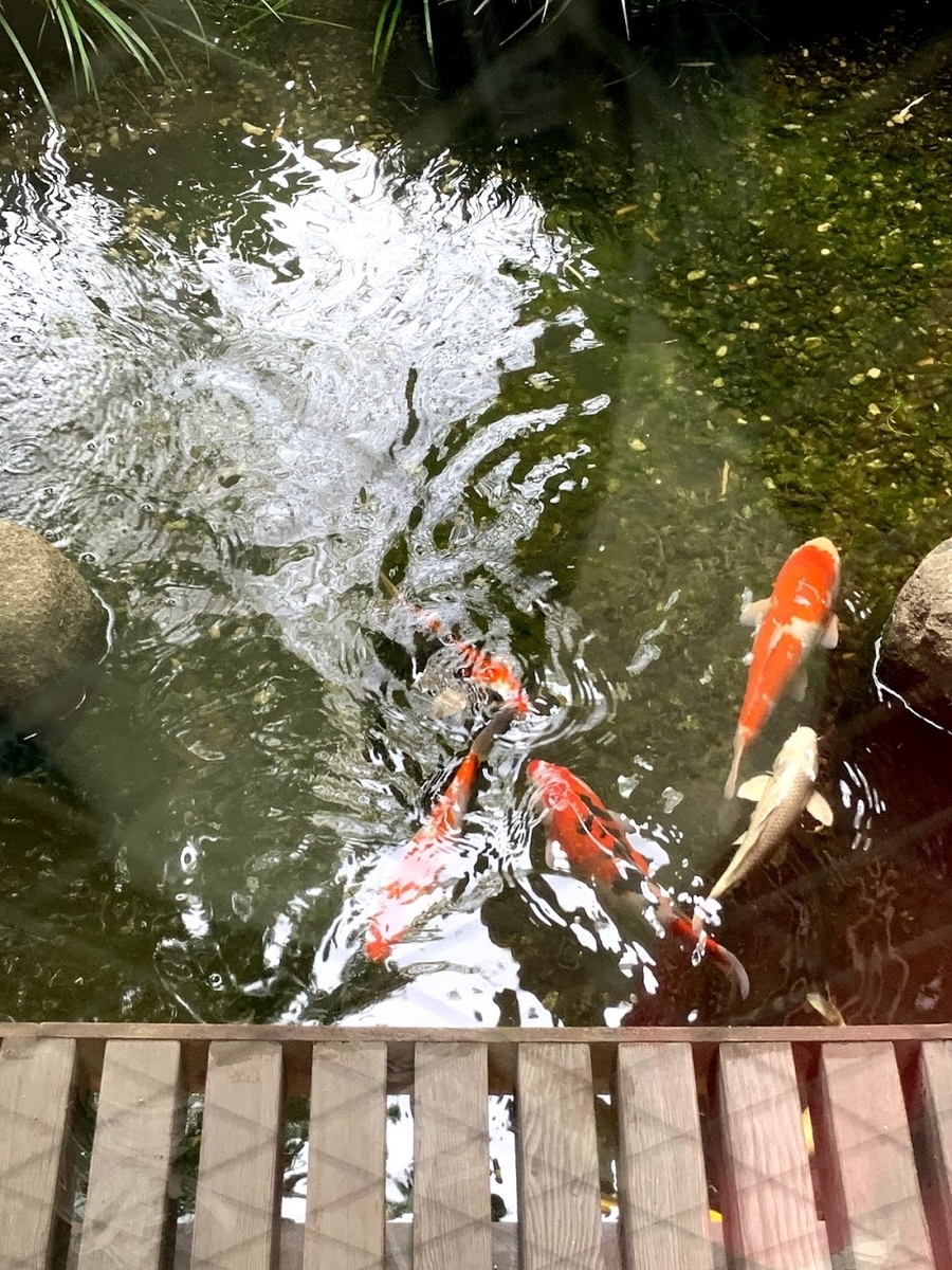 f:id:toshi0690:20190601144620j:plain f:id:toshi0690:20190601144620j:plain