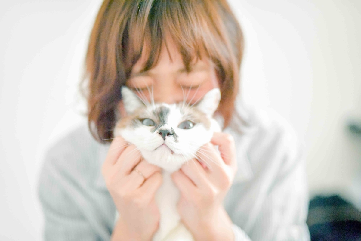f:id:toshi0690:20190622150729j:plain f:id:toshi0690:20190622150729j:plain