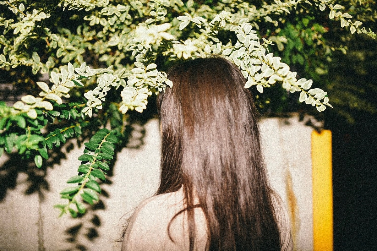 f:id:toshi0690:20190920203545j:plain