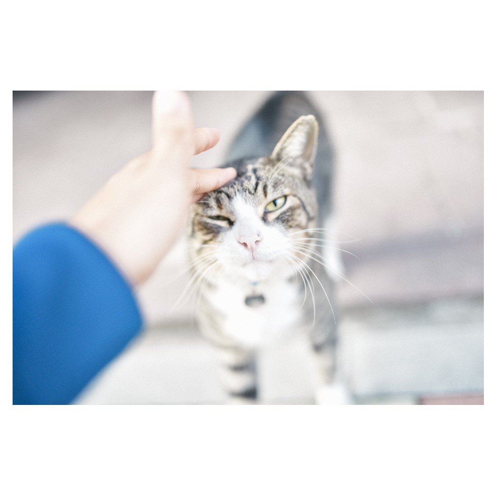 f:id:toshi0690:20191012001037j:plain