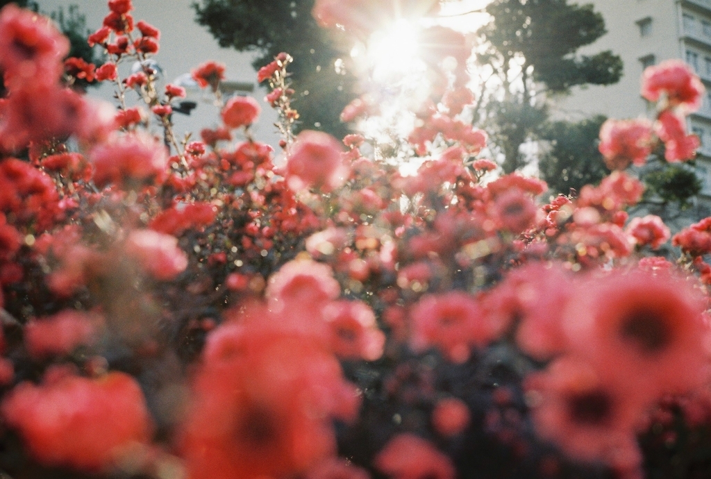 f:id:toshi0690:20191023215515j:plain