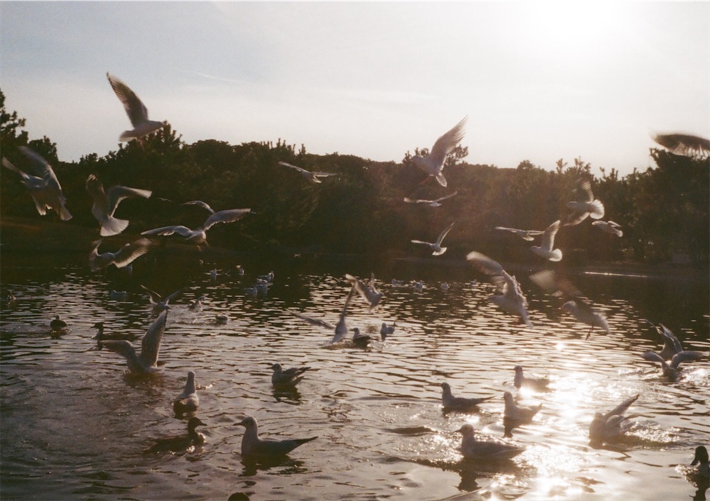 f:id:toshi0690:20200218131241j:image