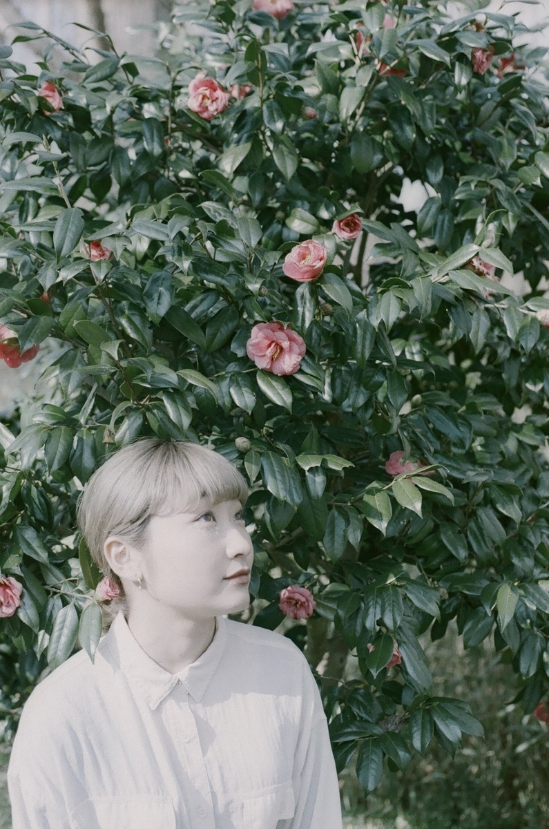 f:id:toshi0690:20200401222258j:plain