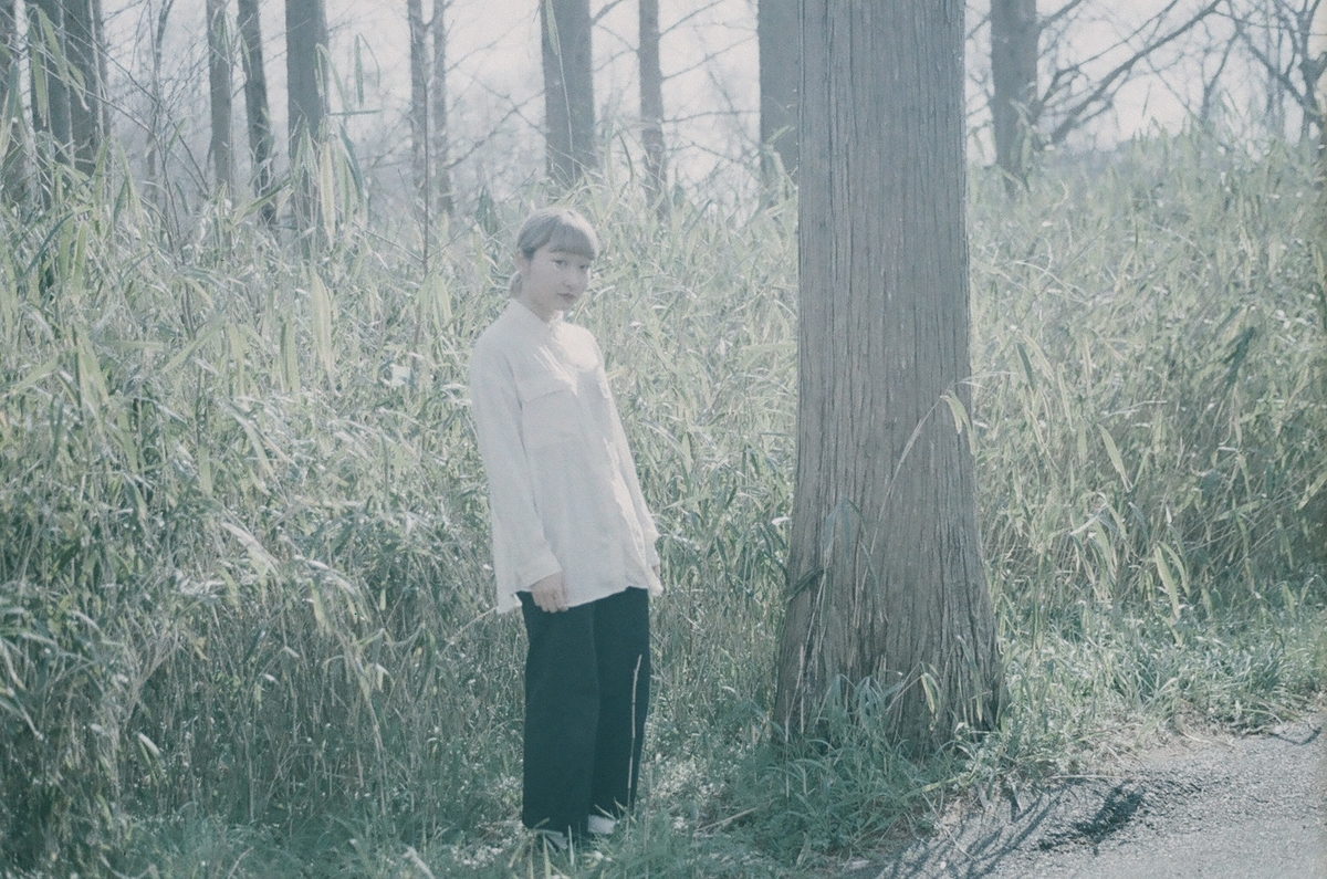 f:id:toshi0690:20200401222354j:plain