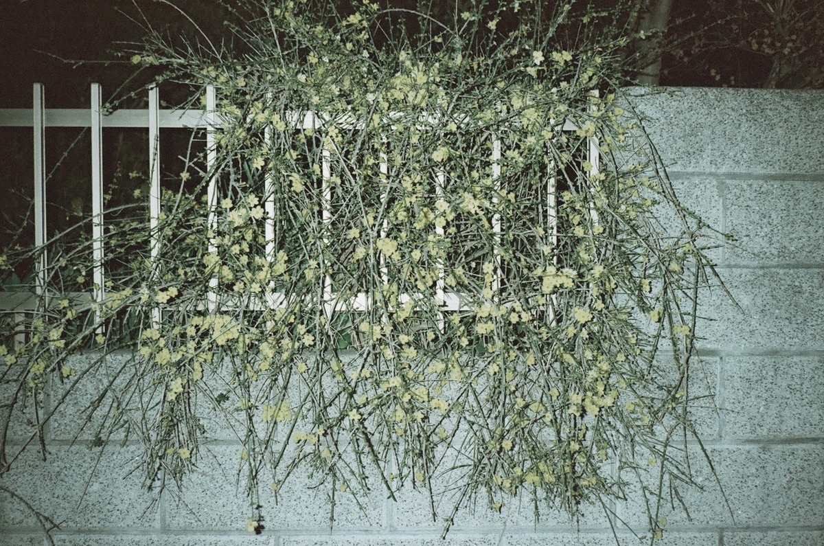 f:id:toshi0690:20200401223543j:plain