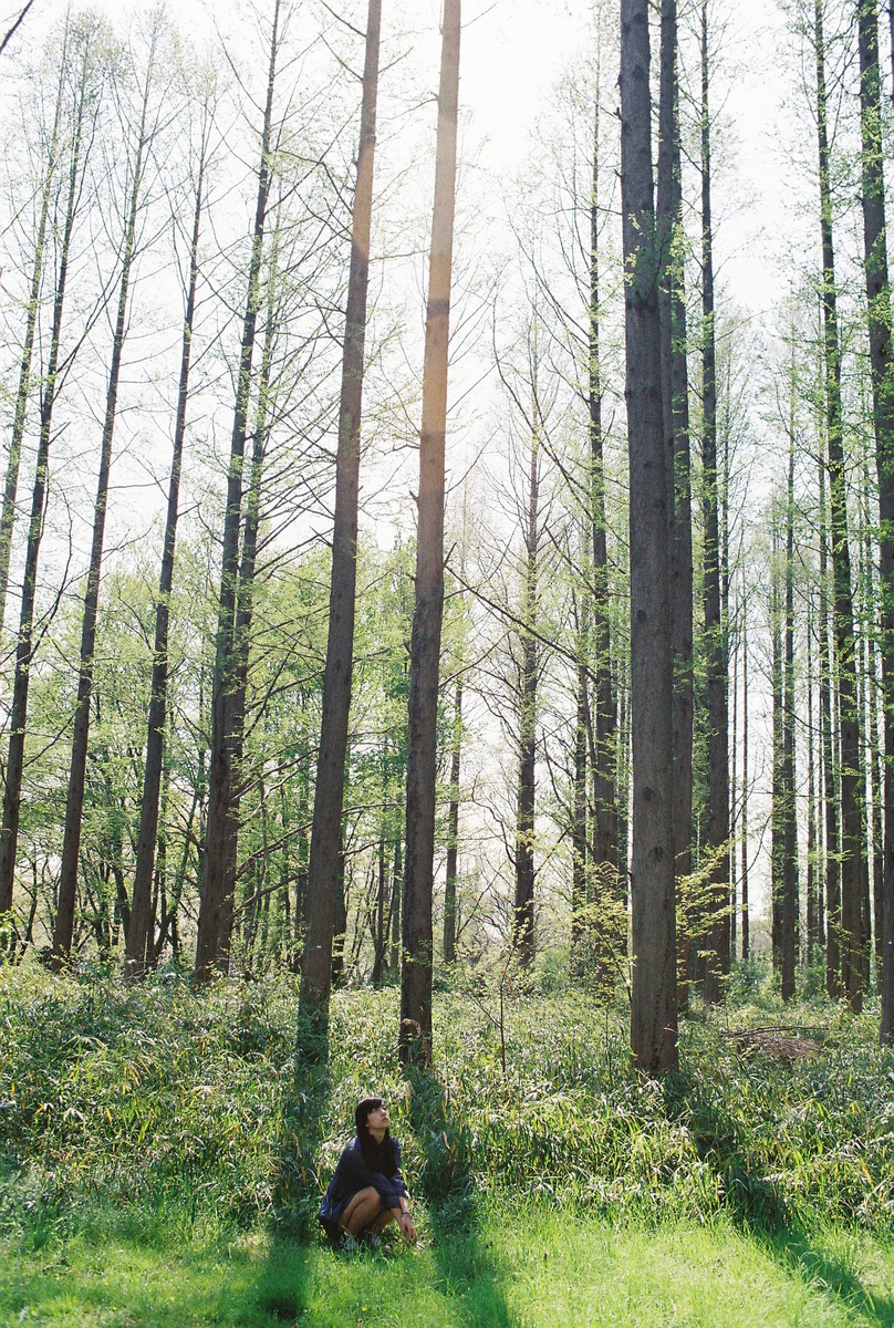 Nikon F3で撮影した水元公園の写真
