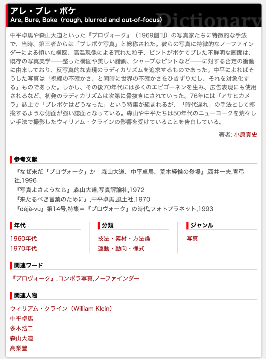 現代美術用語辞典のアレ・ブレ・ボケの解説ページ
