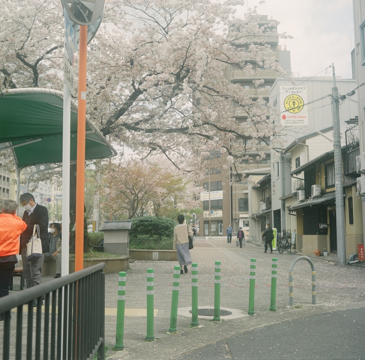 国産二眼レフ Minolta AUTOCORD のファーストロール（作例有り