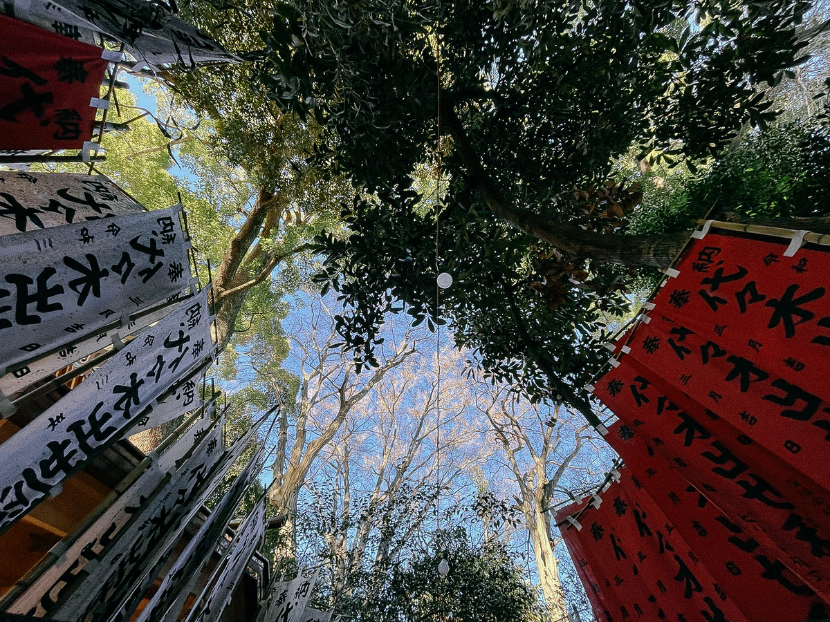 f:id:toshi0690:20220103201458j:plain