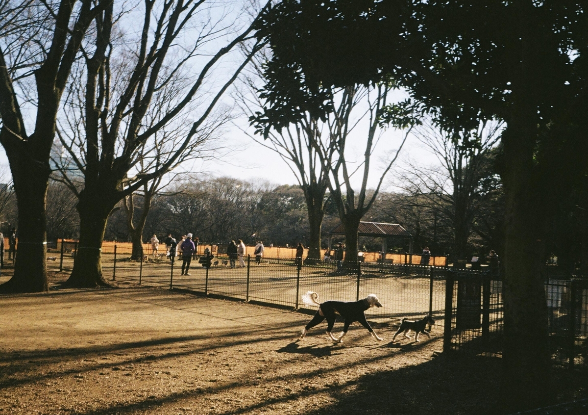 Olympus PEN EF作例レビュー｜やっぱり大好きなハーフカメラのすすめ
