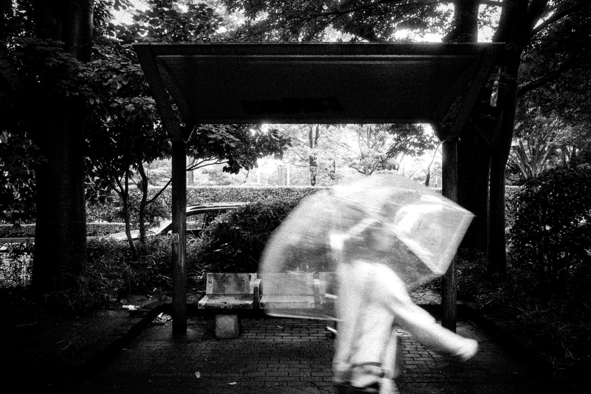 雨の中を傘を差して横切る人物
