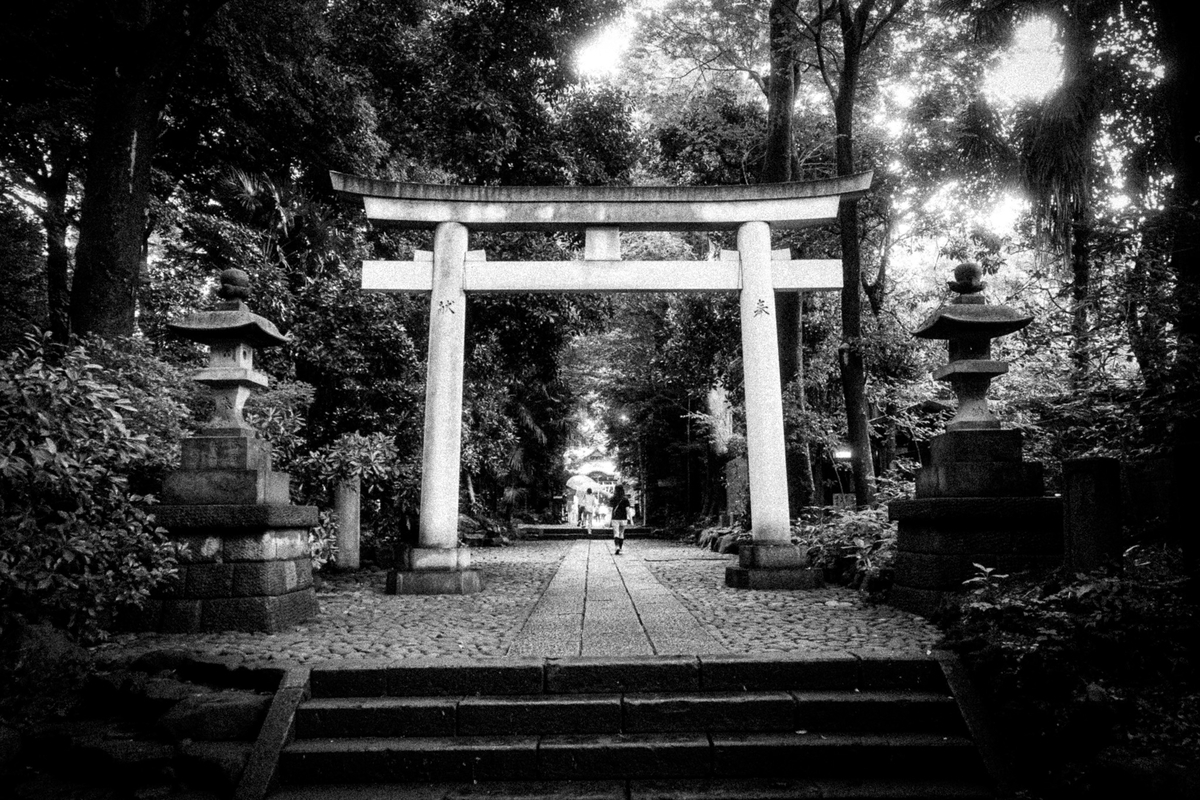 雨に濡れた神社の鳥居