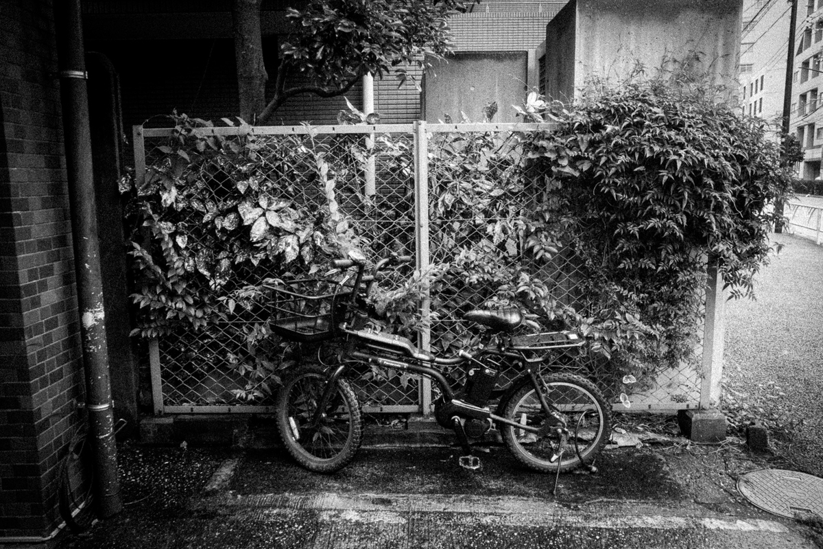 草木に囲まれて置かれた自転車
