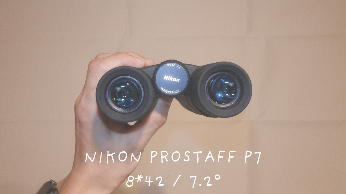 Nikon PROSTAFF P7 8×42を手に持った星空観察用双眼鏡