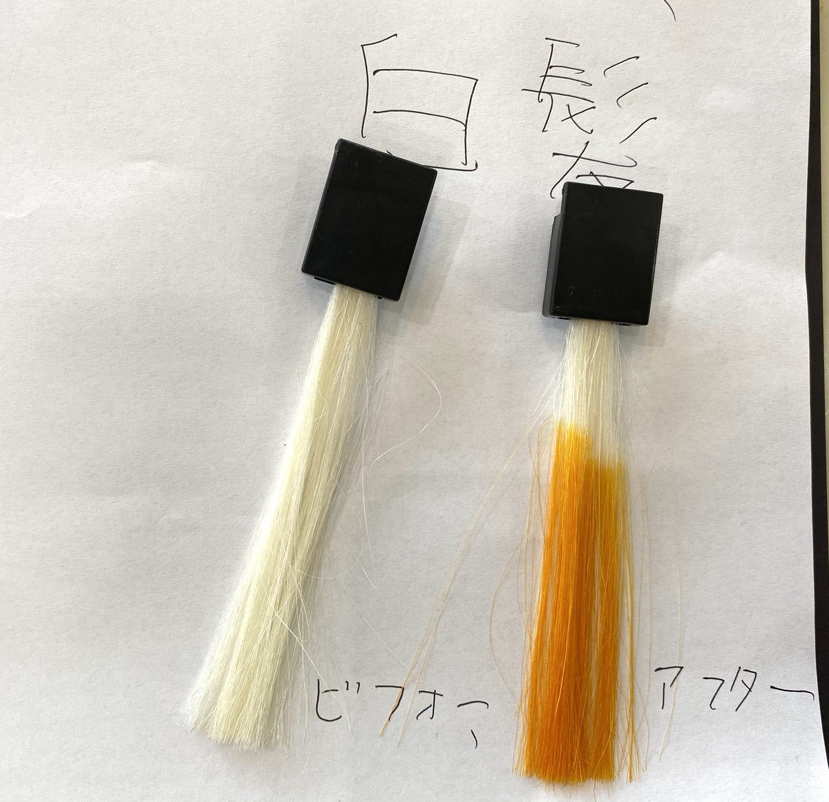 画面左が白髪で画面右が白髪にマンゴーオレンジで染めた毛束