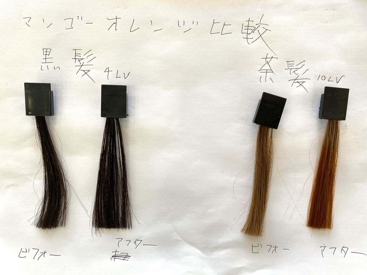 黒髪と茶髪の染める前とマンゴーオレンジで染めた後の毛束
