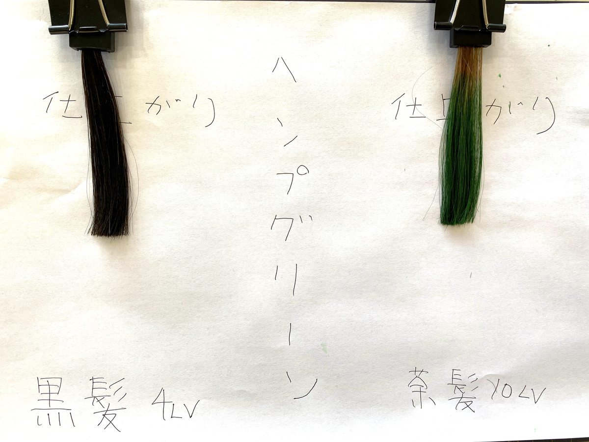 エンシェールズカラーバターのヘンプグリーンで黒髪と茶髪に染めた仕上がり