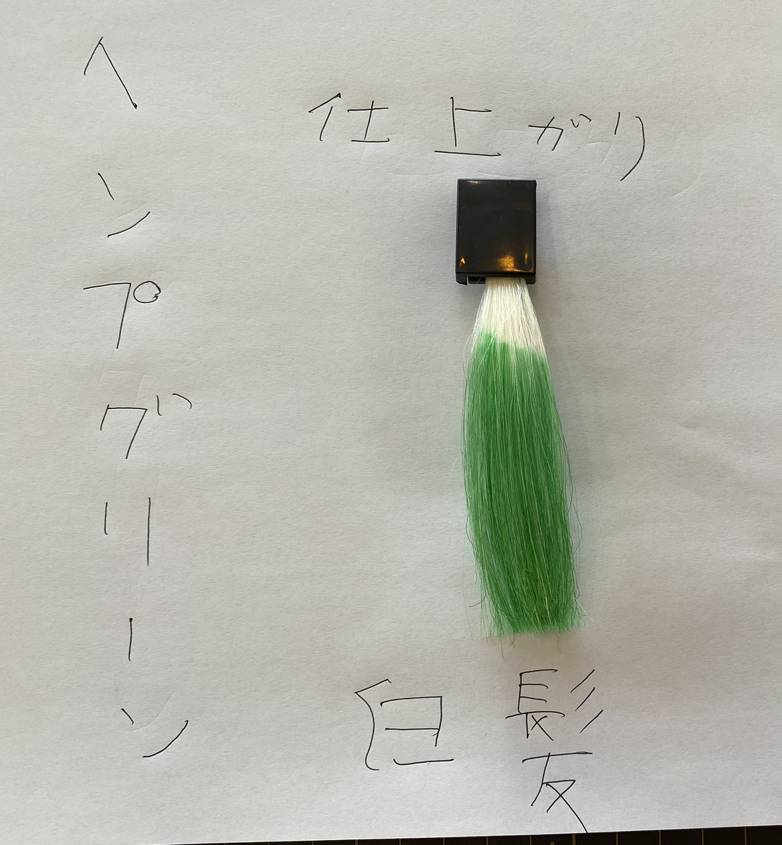 ヘンプグリーンで染めた後の白髪の毛束