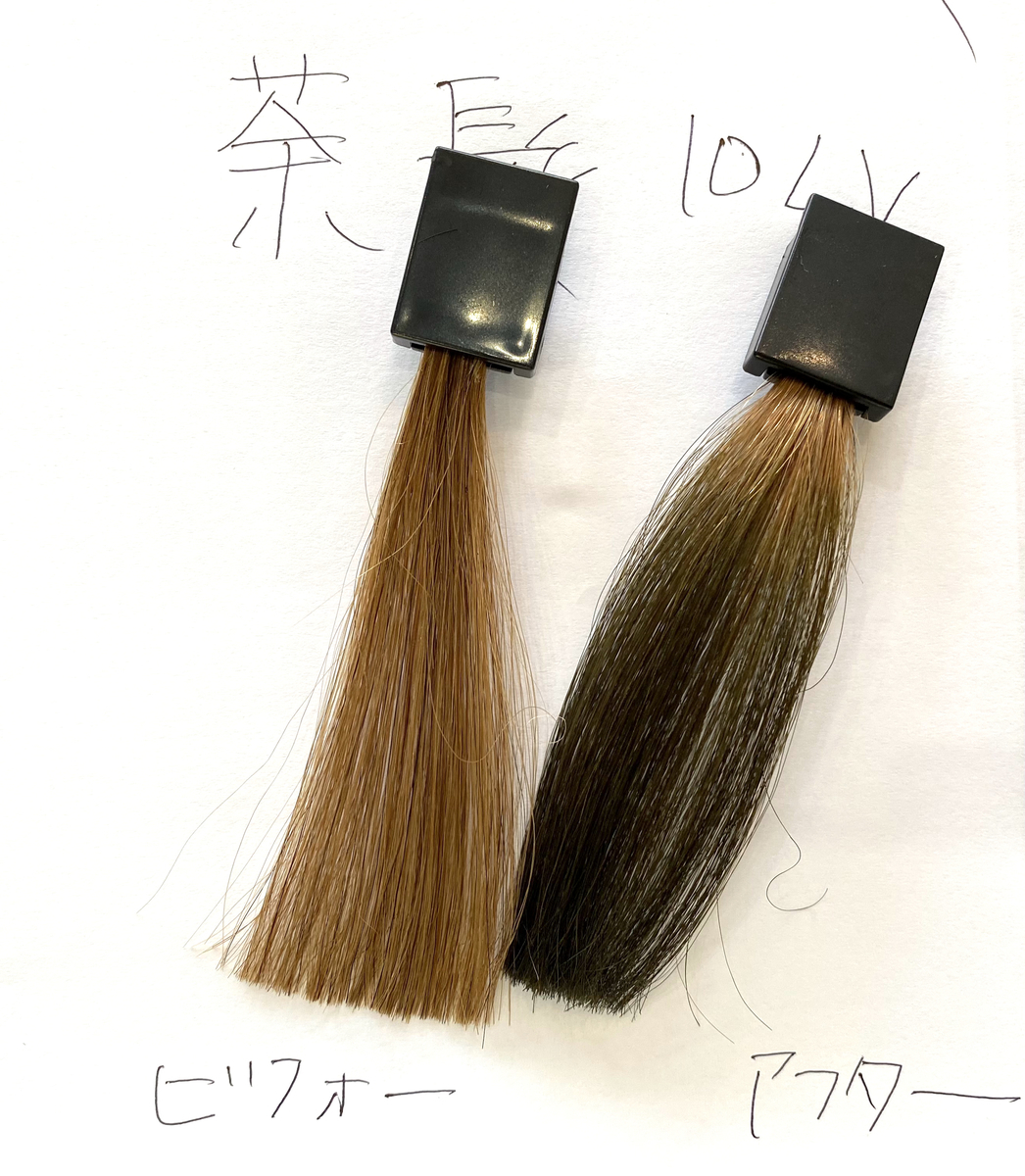 カラーバター ダークシルバー 徹底検証 黒髪 茶髪 金髪 白髪など状態の違う毛髪に染め比べ Toshiの悪あがき シーズン1 カラーバター ダークシルバー 徹底検証 黒髪 茶髪 金髪 白髪など状態の違う毛髪に染め比べ Toshiの悪あがき シーズン1