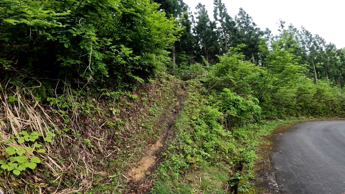 飯士山 負欠岩コース