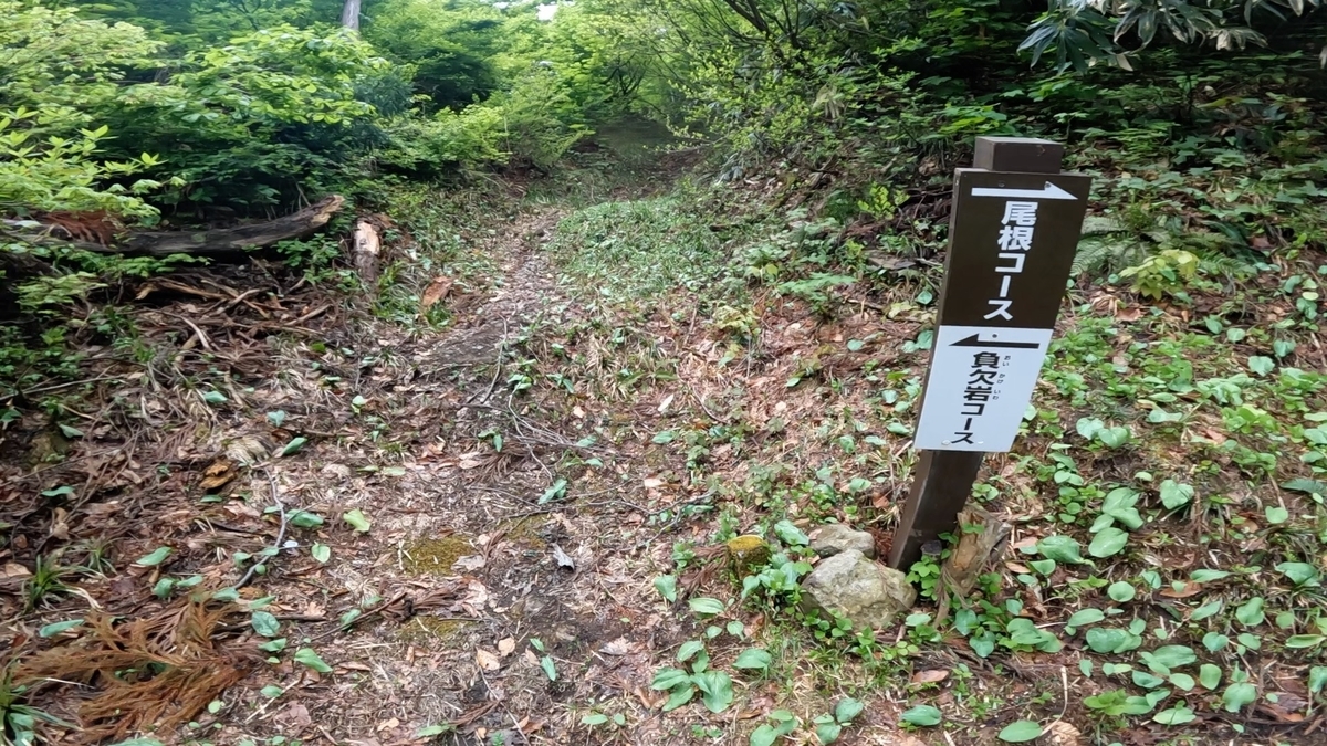 飯士山 負欠岩コース