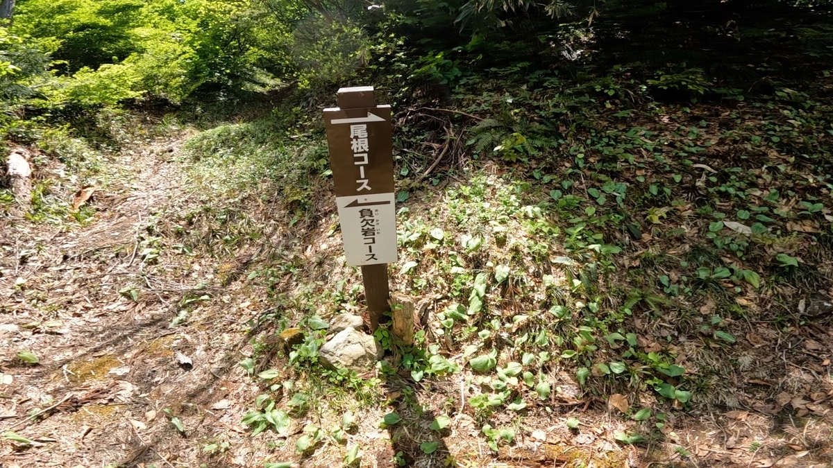 飯士山 負欠岩コース