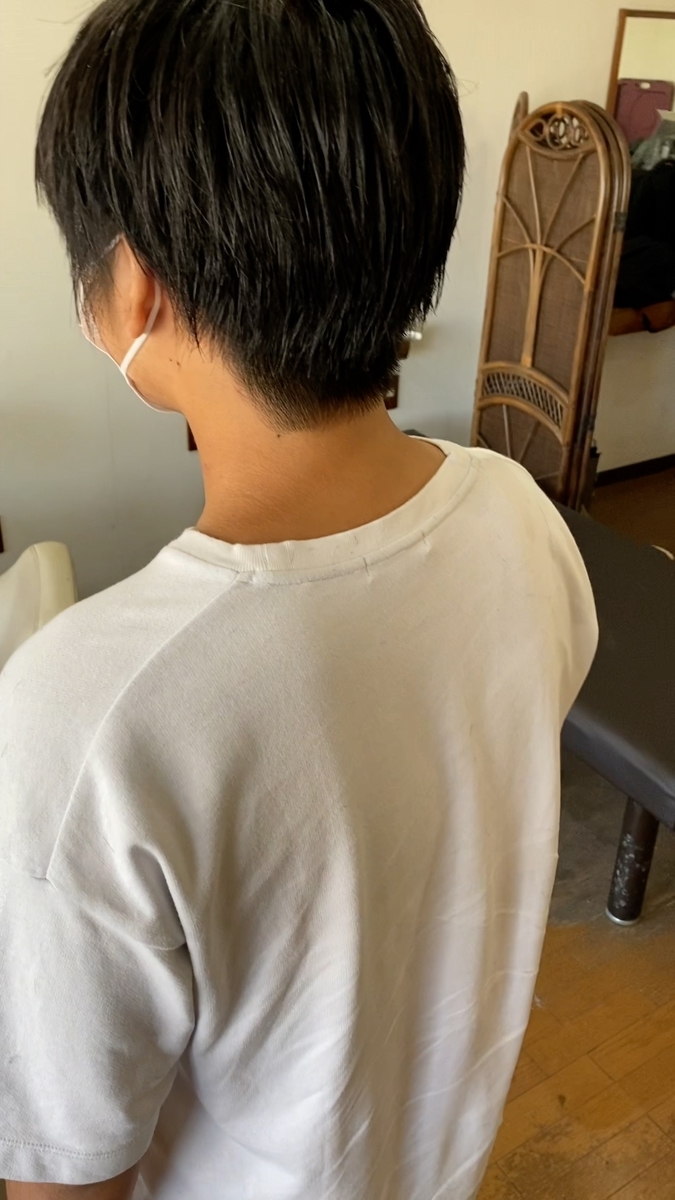 高校生 男子 髪型 ツーブロック 刈り上げ マッシュ Shorts Toshiの悪あがき シーズン1 高校生 男子 髪型 ツーブロック 刈り上げ マッシュ Shorts Toshiの悪あがき シーズン1