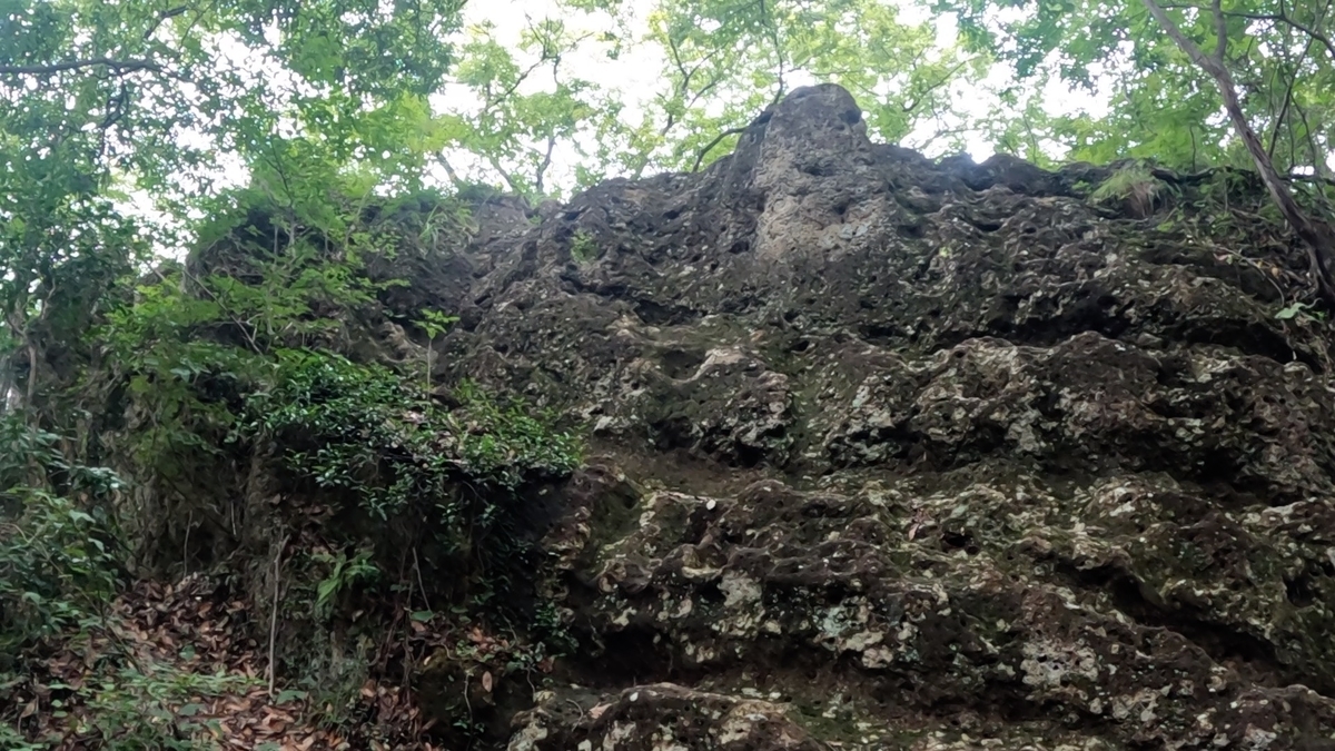 栃木 岩山 登山