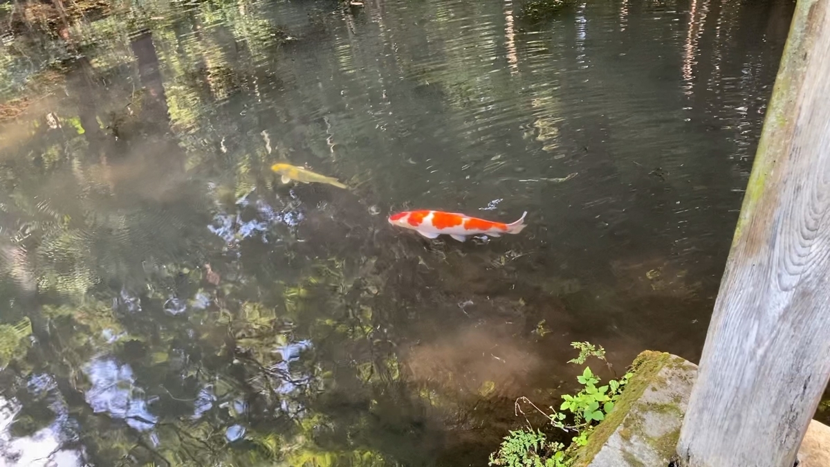 赤城神社 群馬 失踪 神隠し 観光 