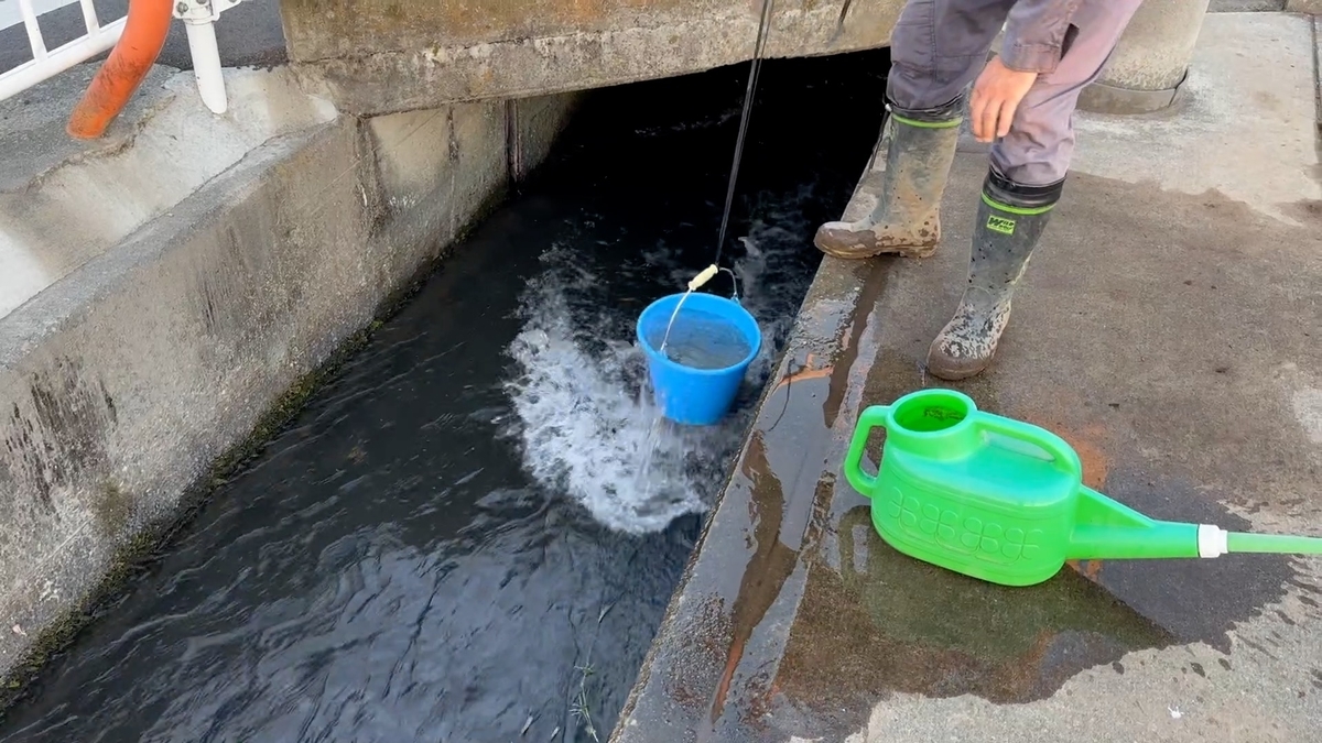 川の水で野菜を育てる男!水汲みバケツ Toshiの悪あがき【シーズン1】 川の水で野菜を育てる男!水汲みバケツ Toshiの悪あがき【シーズン1】