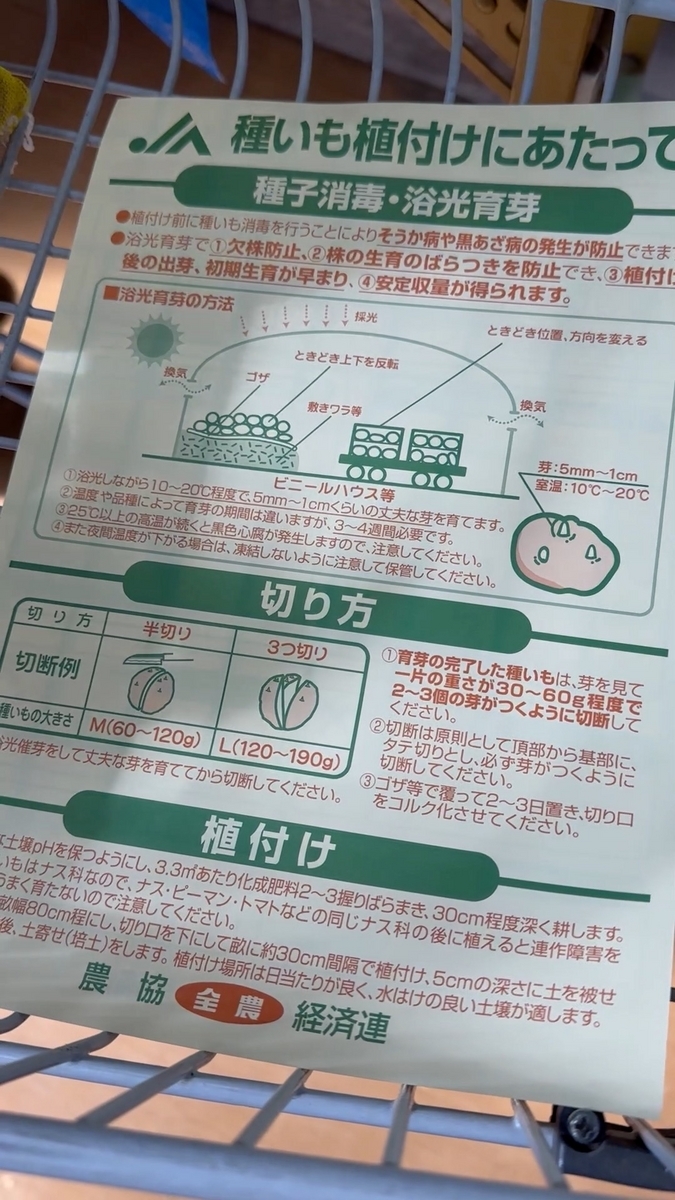 花木流通センターで種芋を買う #Shorts