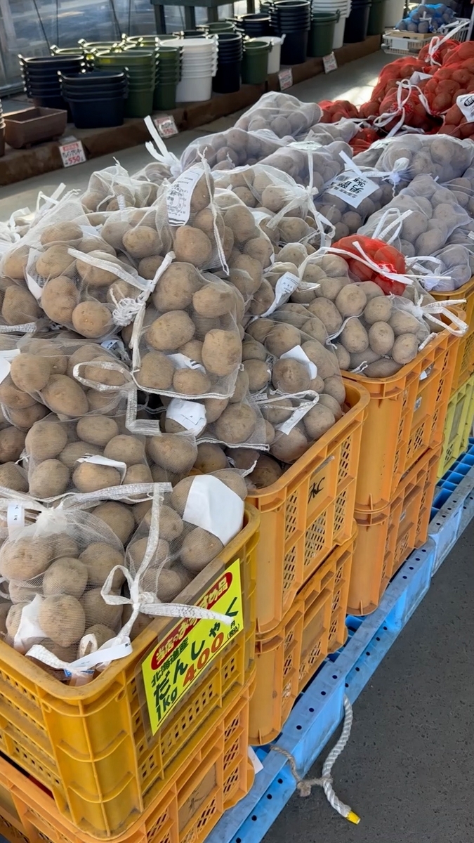花木流通センターで種芋を買う #Shorts