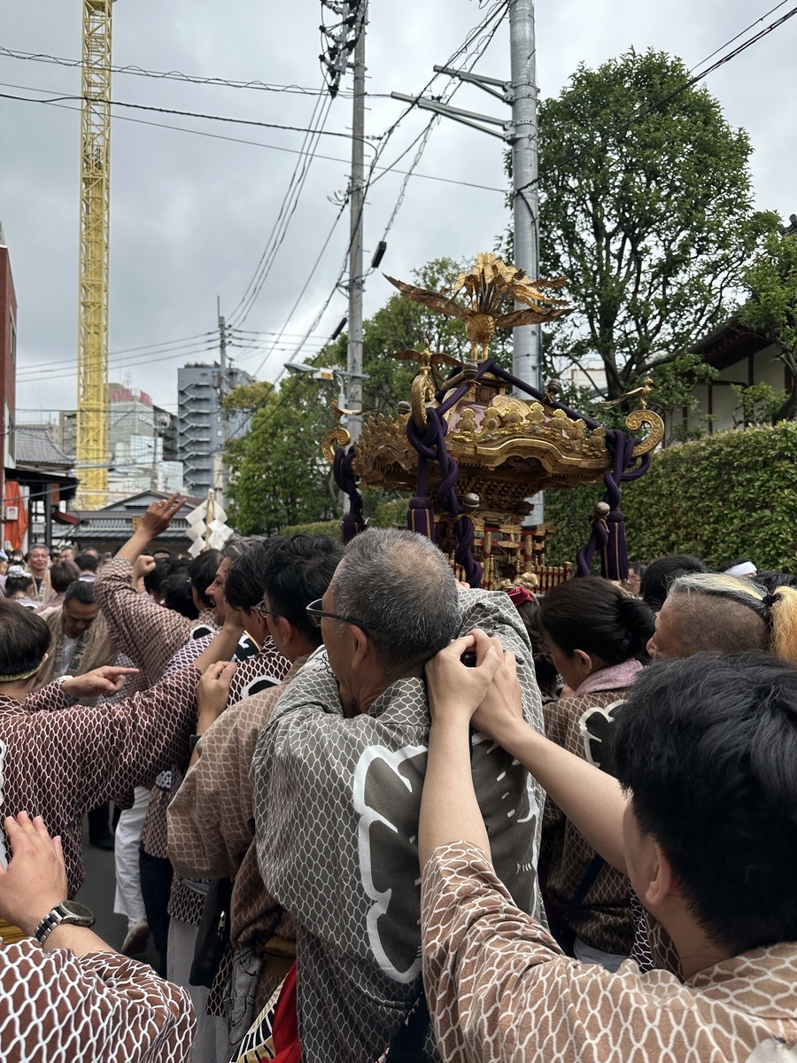 【祭り】東京三社祭2023 - 伝統、風景、雰囲気を一挙公開！