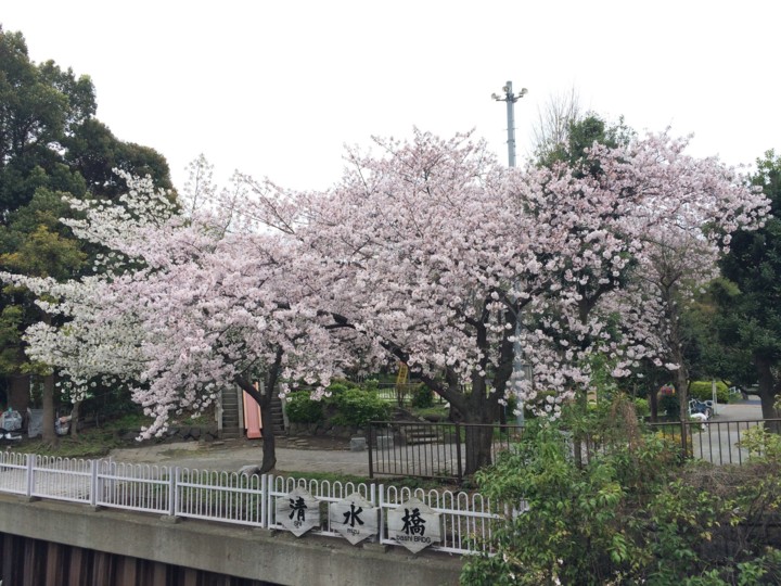 f:id:toshi_suzuki:20160402195952j:image f:id:toshi_suzuki:20160402195952j:image