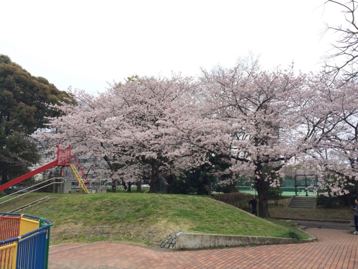 f:id:toshi_suzuki:20160402195953j:image f:id:toshi_suzuki:20160402195953j:image