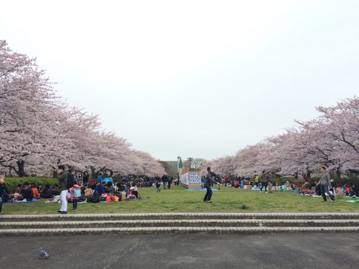 f:id:toshi_suzuki:20160402195954j:image f:id:toshi_suzuki:20160402195954j:image